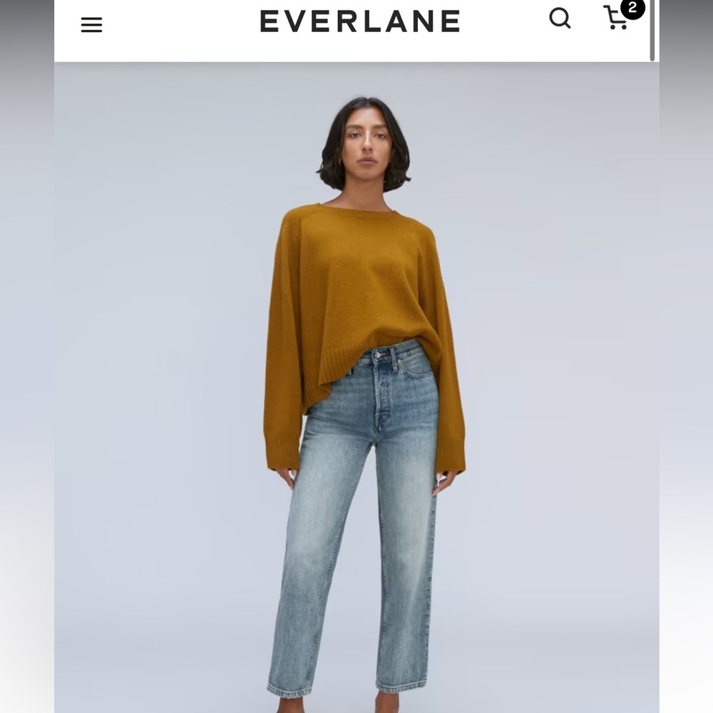Everlane Rigid Way High Jean, NWT Size 29, 27.5 inseam